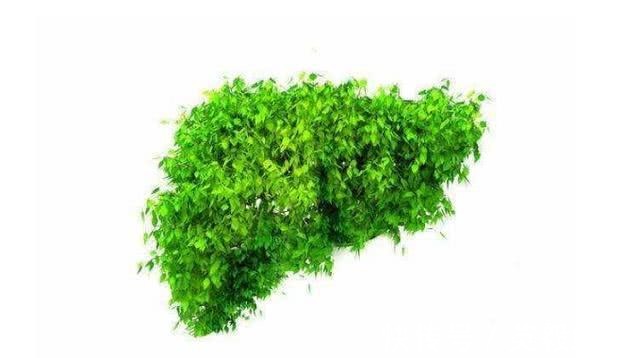 肝癌患者|肝癌多是“拖”出来的身体出现“2痒2痛”，查下肝功能