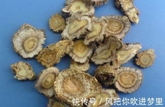 农村|农村常见的野草竟然是宝贝，泡酒能舒筋活血，俗称“长生草”