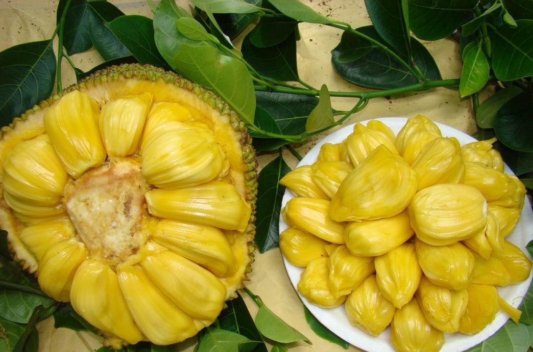 维生素e|想长寿先养肝,多吃四种食物,养肝护肝,滋补身体,脸色更红润