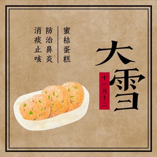  大雪|大雪丨我托人间寄讯，邀雪为庆，为你捎来清佳冬令