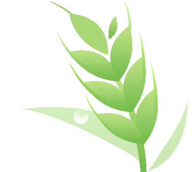 黑群晖史上最强安装教程-HEU8