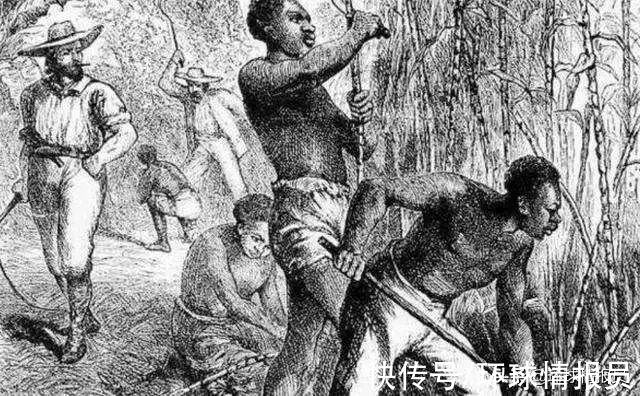新尼德兰|苏里南：荷兰拿纽约交换来的地方，为什么却没发展起来？