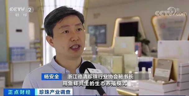 珍珠蚌|“新晋网红”来了,这个产业火了