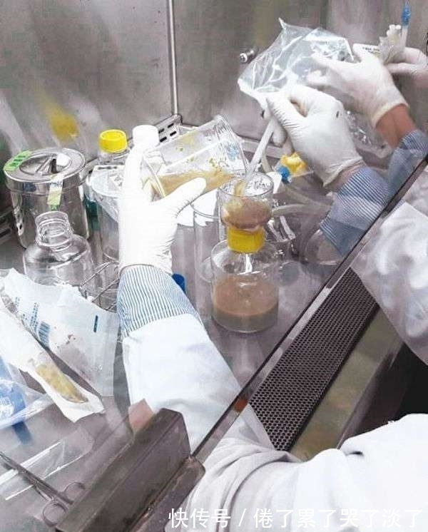 大便|5岁小男孩误食强碱,生命垂危,结果却靠哥哥的大便捡回一命