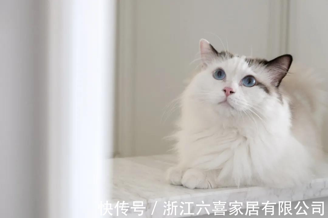 阳台|85平混搭风极简风设计,极致利用每一寸空间