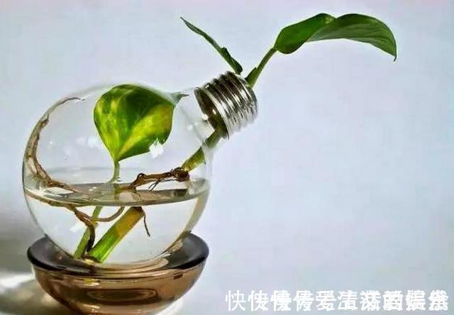 新思路#南山老人提醒我:做人再有本事,也要对这四件事守口如瓶,有道理