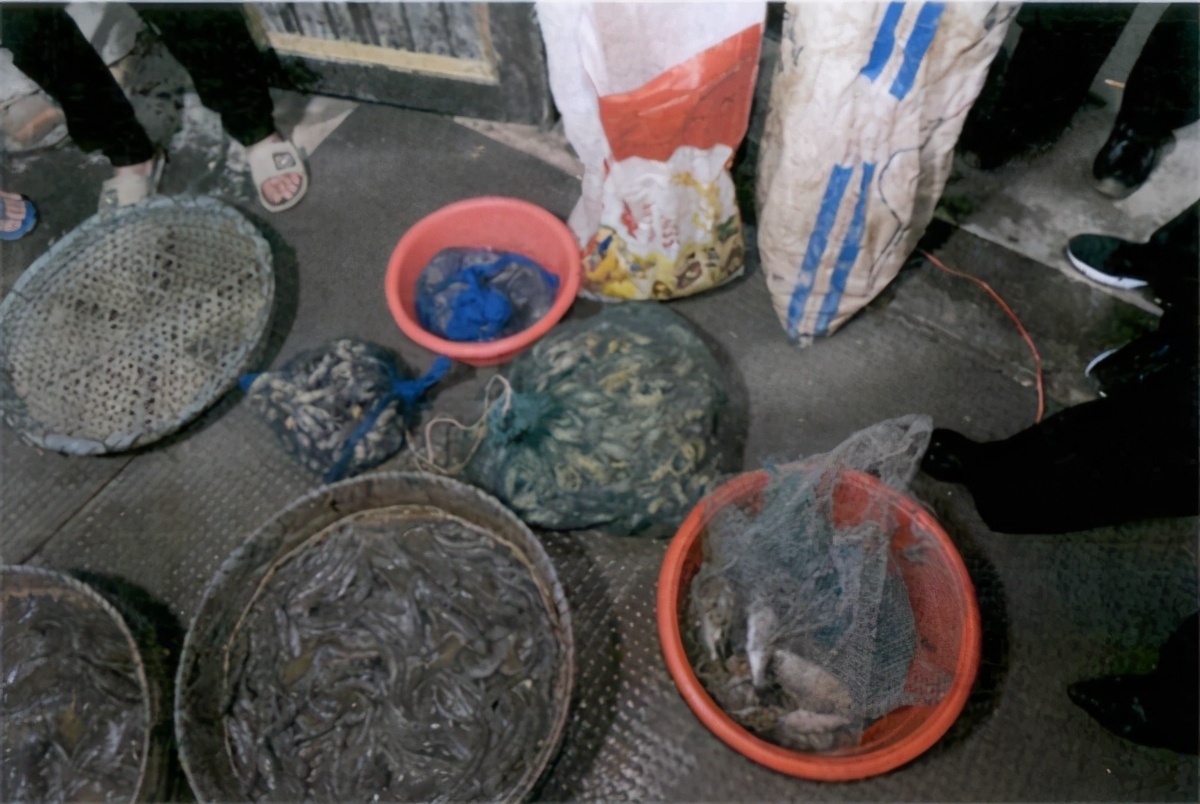 崇明|6个月310万，上海崇明一男子挣快钱，结果钱没花成自己还搭进去了