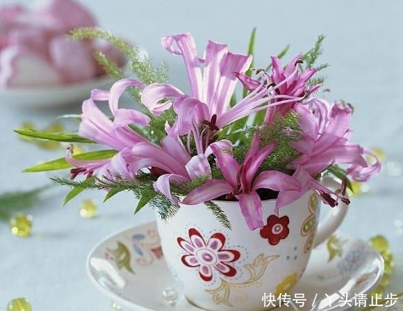 穿透|一段很现实的话,句句穿透人心!