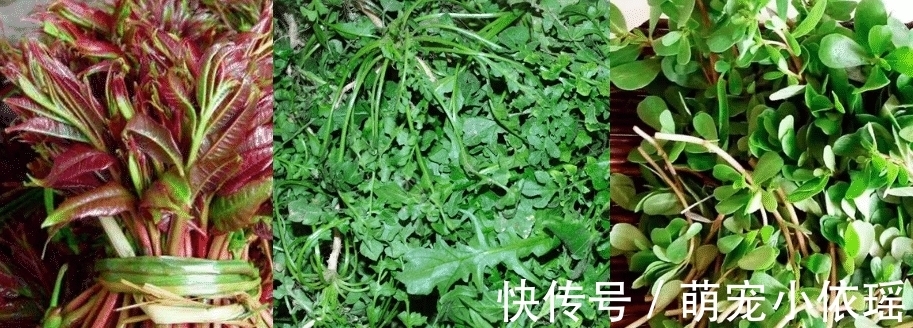 蔬菜|这六类蔬菜记得焯水后才吃,多数人都忽略,为了家人再懒也别做错