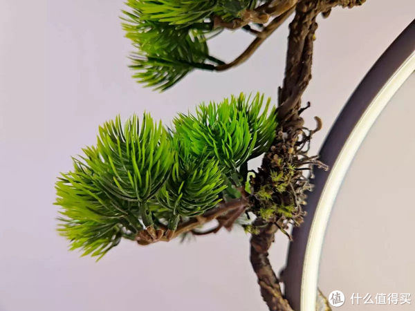 流水转运，遇水则发，讲究人一定要看下这款魔鱼水月洞天摆件鱼缸