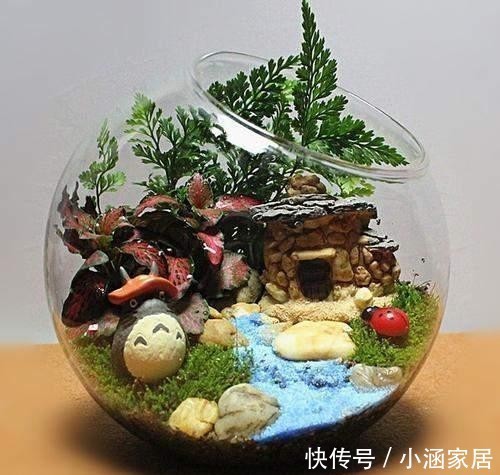 瓶景|过年大火的瓶景自己做,一瓶就是一个景观,小小一个真有趣