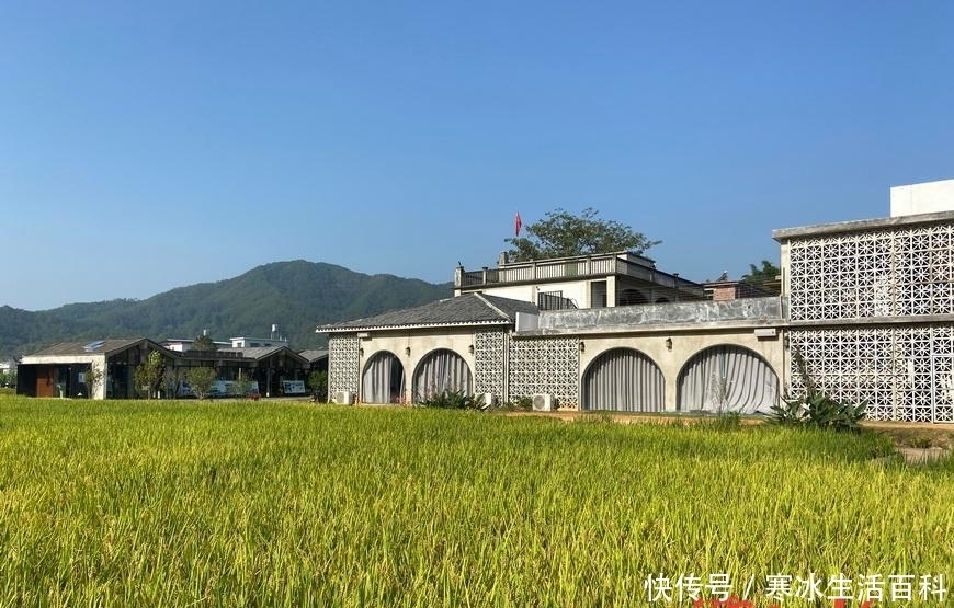 民宿|唤醒“沉睡”百年校舍，粤北乡村也有向往的生活