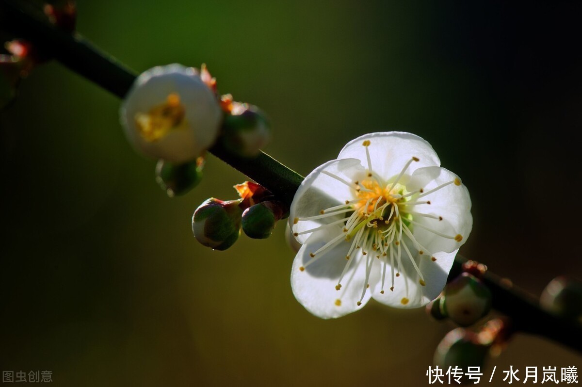  些人|闲来静处，且将诗酒猖狂。唱一曲归来未晚，歌一调湖海茫茫