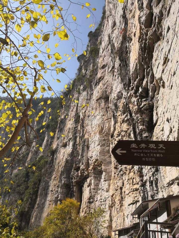 坑口|甘绍群：奉节天坑地缝探秘