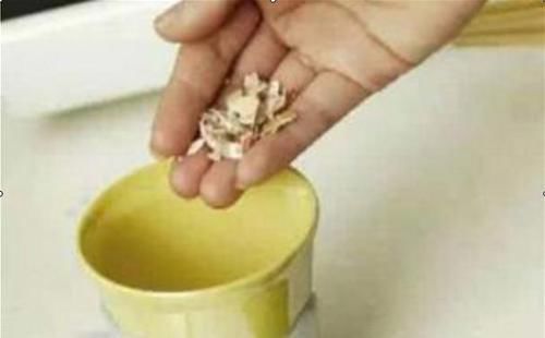 在花盆底部放上这三样东西,养花更养根,叶子比翡翠还要绿