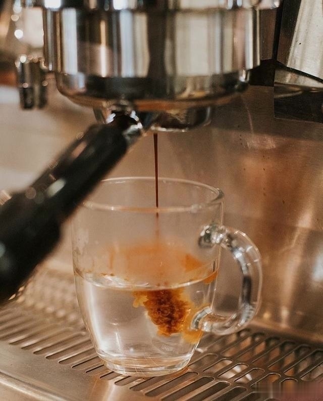 喝咖啡|张文宏男同志喝咖啡延长寿命,女同志喝不明显因为本来寿命就长