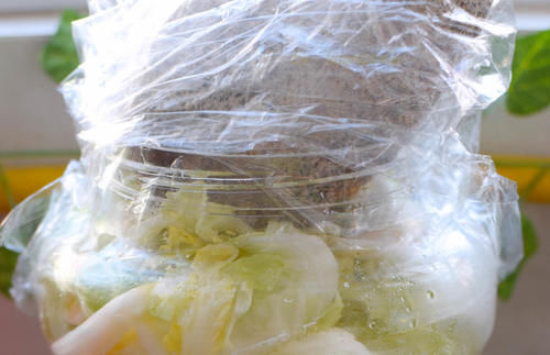 东北酸白菜的腌制方法和酸菜排骨汤的详细做法