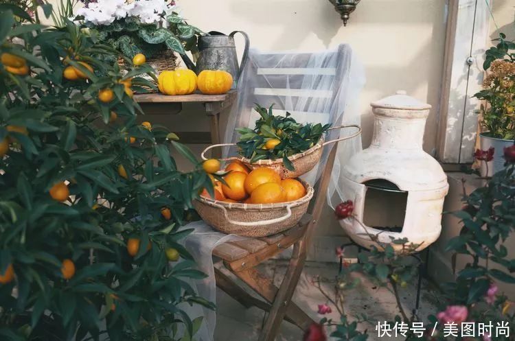 130㎡大露台,花1年改造成“花草蔬果园”,体验屋顶上的田园生活