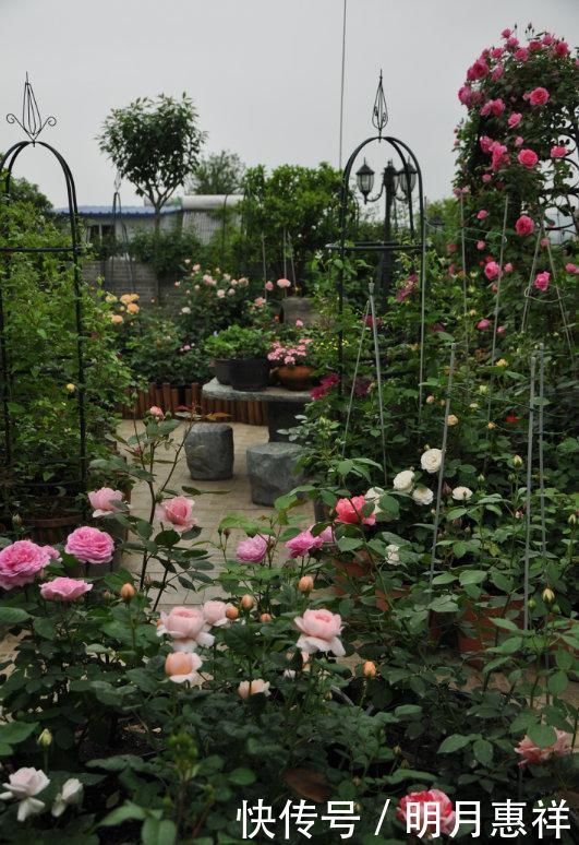 100㎡屋顶打造“花园露台”,网友直呼太壮观了,仿似人间仙境