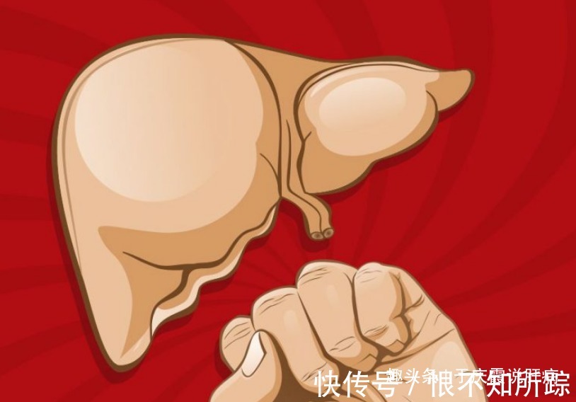 肝硬化|肝病专家建议，不想肝炎、肝硬化盯上你，晚餐不要超过1个点