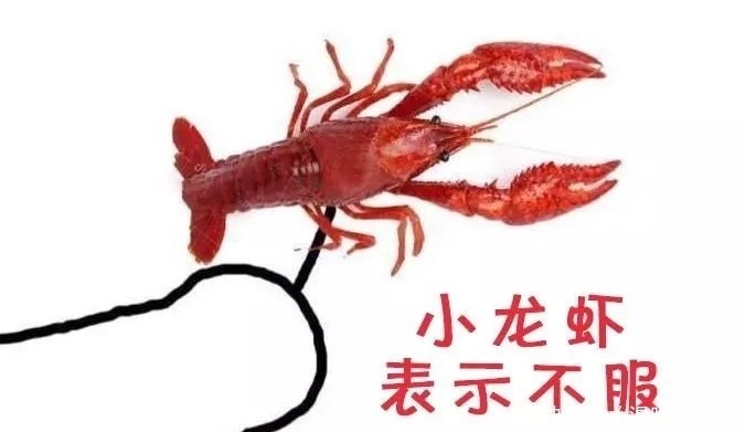 小龙虾很脏?恕我直言,你们对小龙虾一无所知
