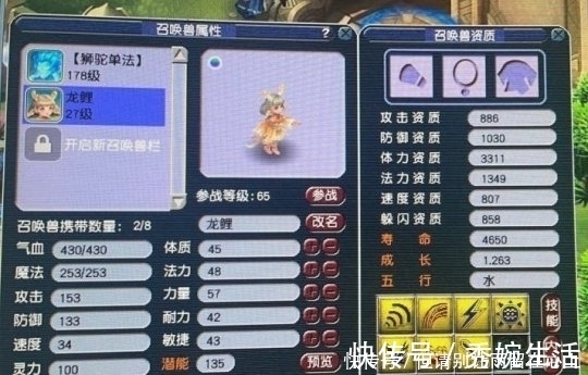 神佑|梦幻西游:新出极品140灵饰,极品宝宝追梦失败,难受想哭!