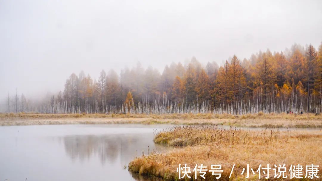 补肾|冬季是养肾的黄金期,牢记“四养五练”