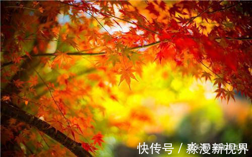 光宗耀祖|几月出生的孩子,聪明有才,长大后必定光宗耀祖,成就一番伟业