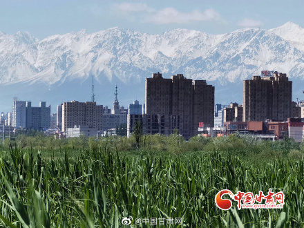 不望祁连山上雪 错将甘州当江南