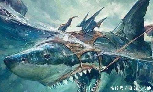 不好意思|《斗罗大陆》魂师一生只能有六块魂骨唐三不好意思,我有八块!