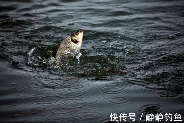 冬钓时,有漂相却老不中鱼?原来是这几步没做好,知道的人不一般