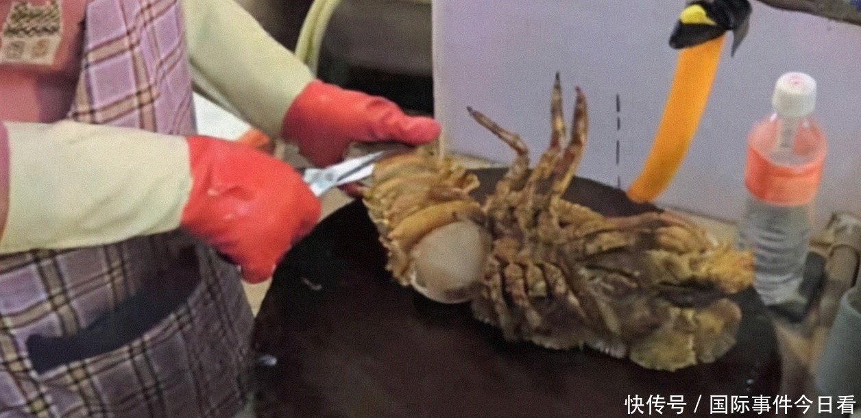 想要|印度“拖鞋虾”泛滥成灾,想要出口到我国,我国吃货:不敢恭维