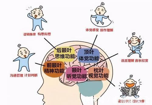 毛病|孩子这3种“臭毛病”,可能是“双商高”的表现,家长别盲目纠正