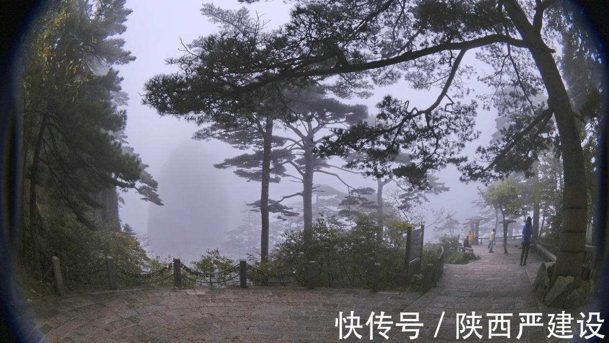 黄山|薄云浓雾游黄山宛若仙境【严建设】