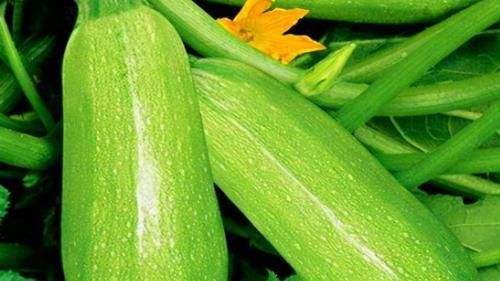 聪明人爱吃3种食物,营养丰富、滋润肌肤,早吃早健康!