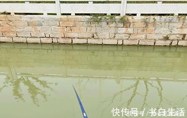 要想自制打窝米效果好,建议先把这几个问题搞明白