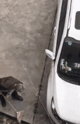 |搞笑GIF段子:如果你拿不出来的话,只能说明你对金子的渴望还不够大