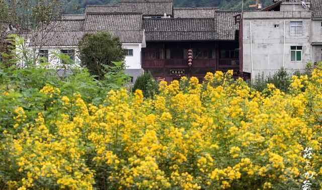 诗情画意|诗情画意的青木川在清晨的烟火中醒来