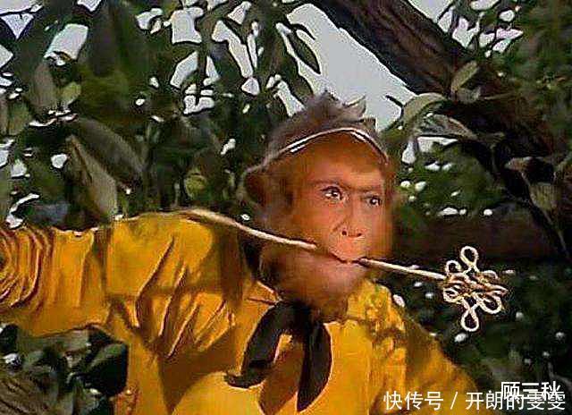 孙悟空偷人参果,只分给了猪八戒和沙僧,为啥不给白龙马分一个