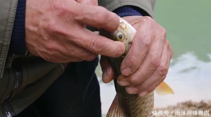 钓鱼|山居老伯钓鱼,竹子做竿,蟑螂做饵,可钓的鱼一百一条