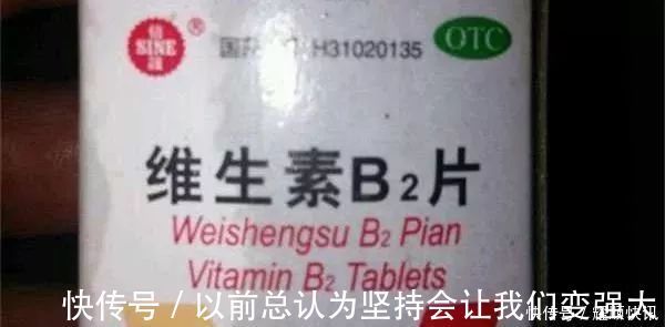 青草鲤|野钓必杀饵料,通杀青草鲤,大鱼一条接一条,拉杆到手臂疼