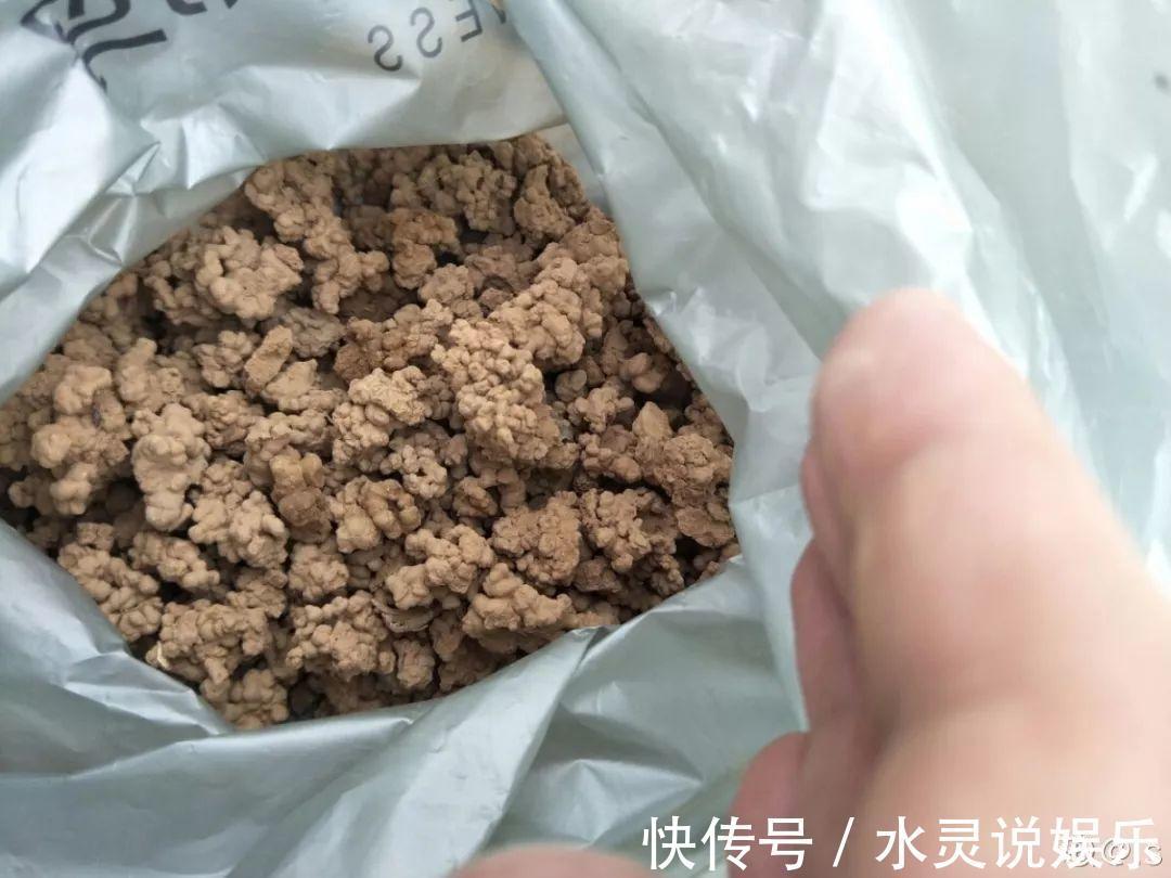 鱼缸|盆土硬成大疙瘩,浇点松土剂,立马软得像发糕!