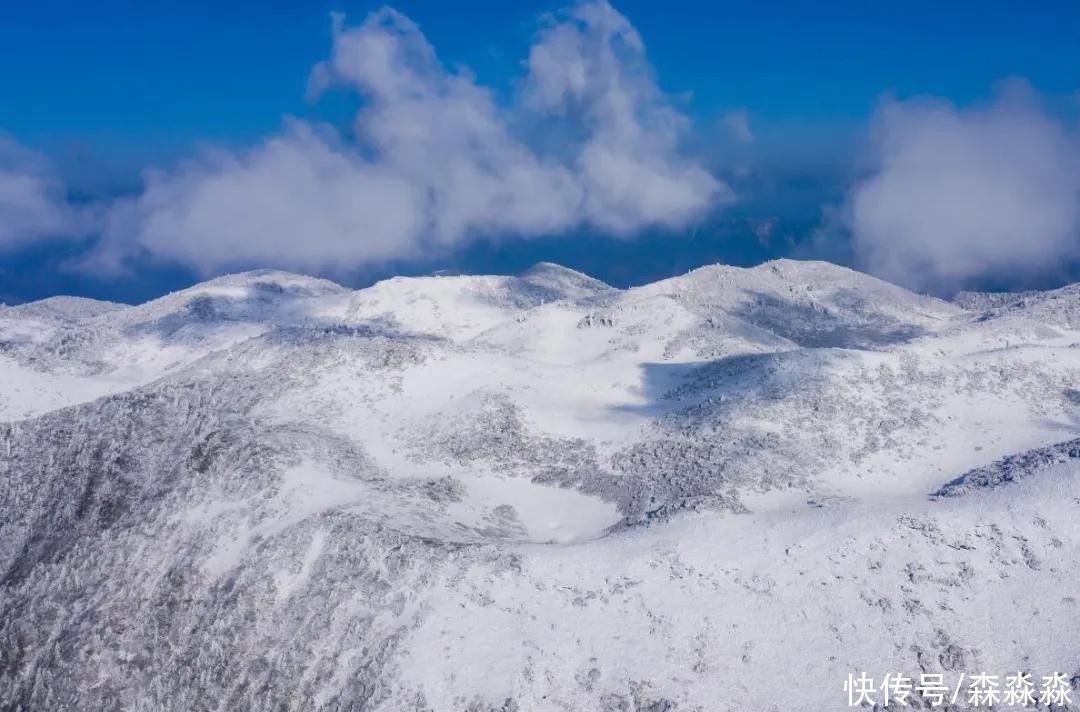 山下|十里风雪天涯路，秦岭雪乡留下吧，紫柏山下是我家