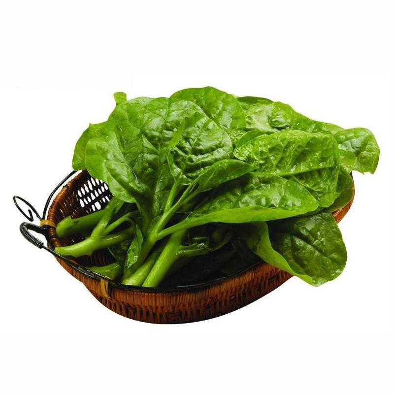 蒜蓉木耳菜|夏天的蔬菜之王,全身都是宝,美味吃法介绍给你