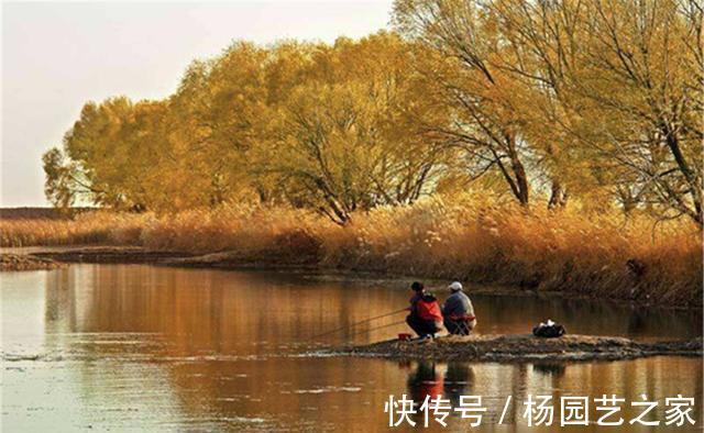 鱼窝|秋季钓鱼,选择钓位很简单,只有一条:跟着水温走,轻松找鱼窝