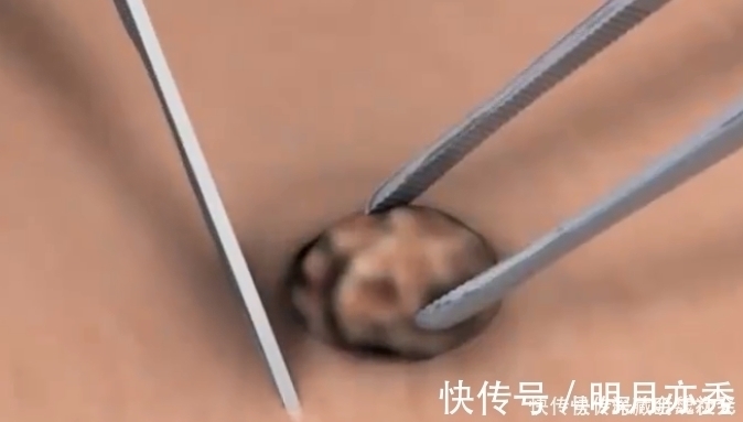 格罗布奥特曼|格罗布奥特曼如何融合？泽塔奥特曼dx勋章玩具