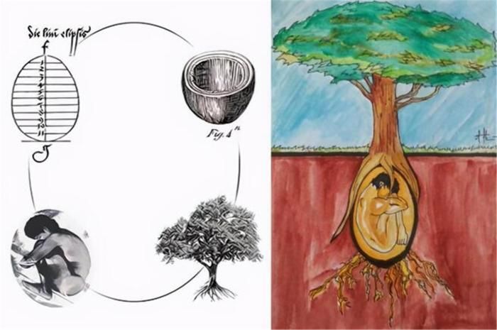  科学|从科学角度来讲，骨灰到底是什么？多年后又会变成什么？