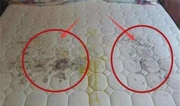 方法|床垫睡久了螨虫成窝,教你一个土方法,3步轻松清除去除
