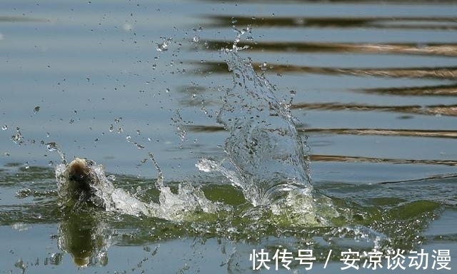 钓鱼,饵料用腥味还是香味好?(建议收藏)