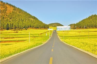 紫叶李|春和景明花枝俏